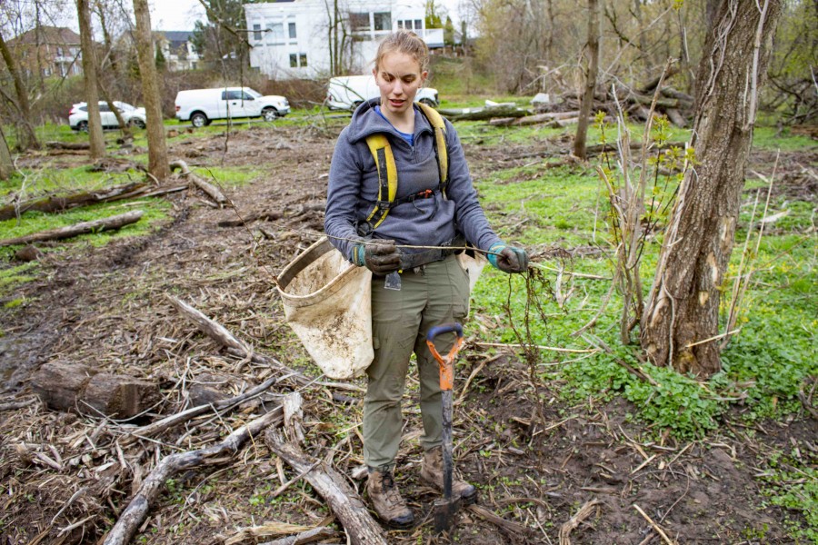 Alicia Robinson on the pleasant morning of May 2 with a Quaking Aspen sapling, one of the first of thousands of trees planted in Two Mile Creek on May 2. (Evan Saunders)