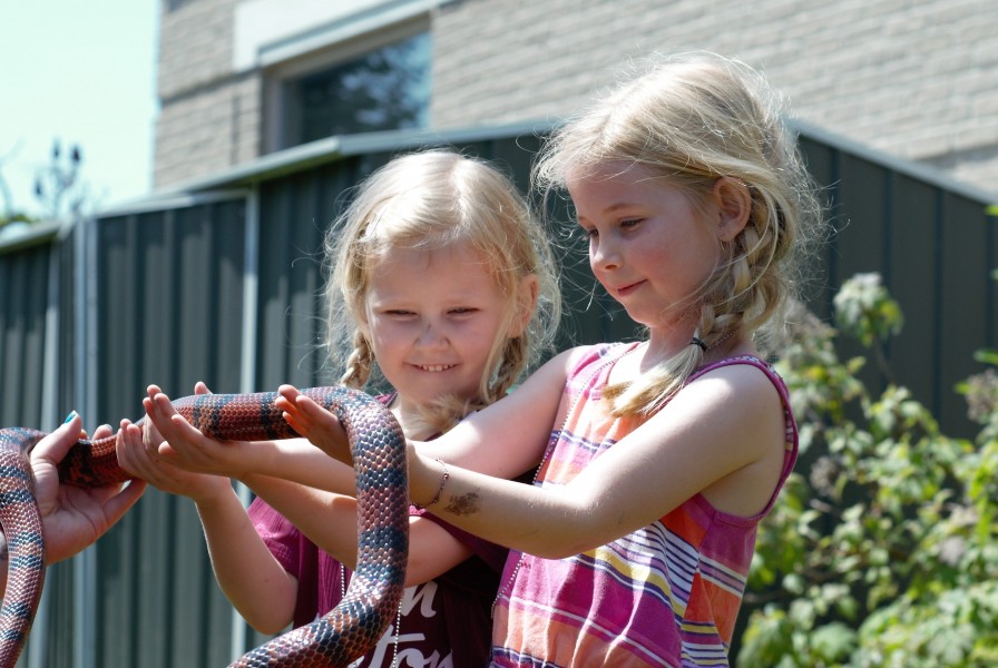 Alice and Mille McGeachin, hold a snake from the Reptie Kingdom last Saturday. (Brittany Carter/Niagara Now)
