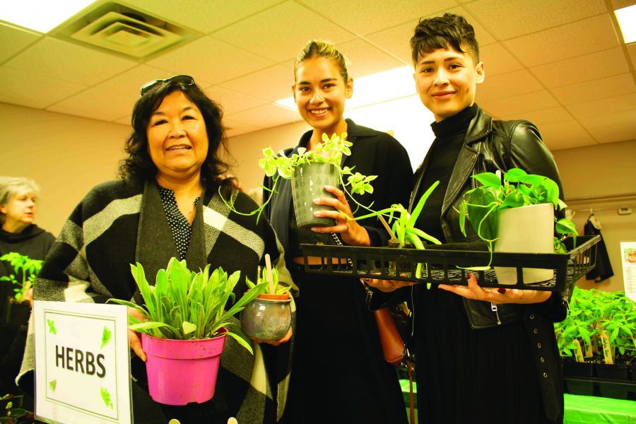 Dororthy, Brianna and Jessica Wiens shop for plants at the Horticultural Society fundraiser sale last Saturday. (Richard Harley/Niagara Now)