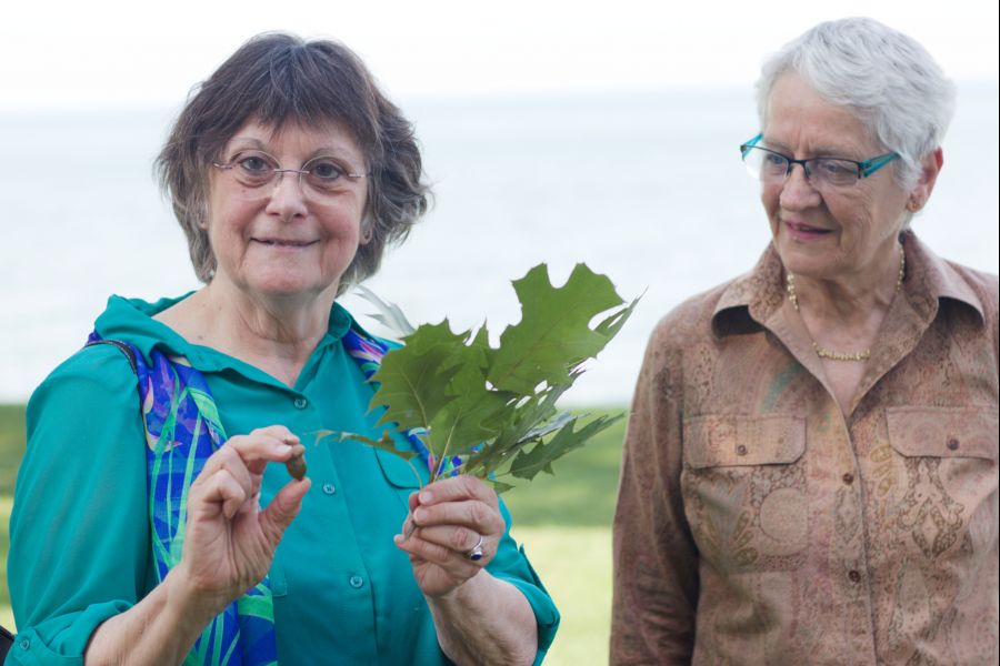 Chautauqua residents Robin Patterson and Margaret Walker. Patterson shows an acorn and a red oak leaf from Chautauqua's oak tree. (Dariya Baiguzhiyeva/Niagara Now)
