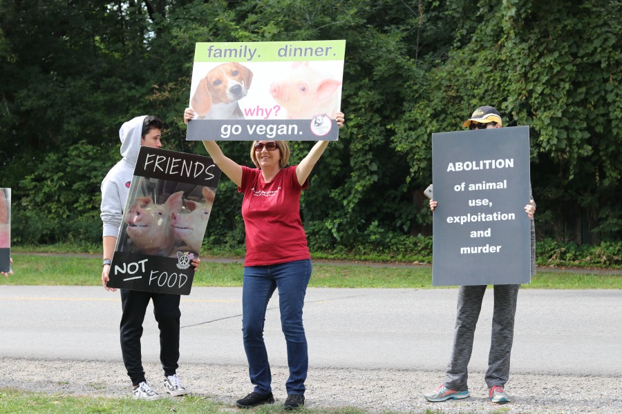 AWFAN members stood on King Street, holding signs. (Dariya Baiguzhiyeva/Niagara Now)