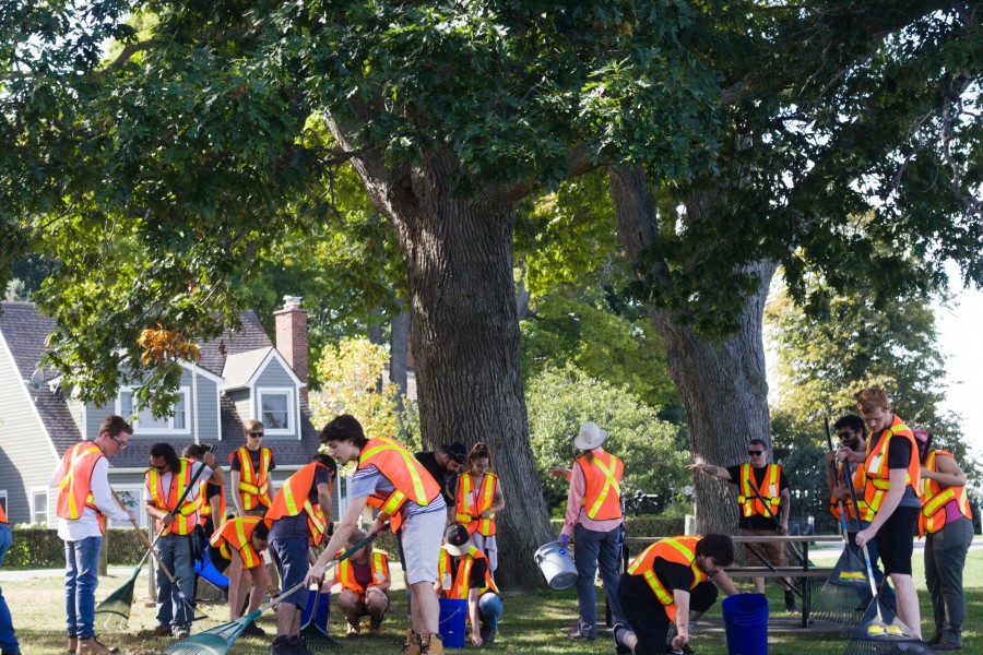 Niagara College students collect acorn from Chautauqua's oak trees at Ryerson Park. (Dariya Baiguzhiyeva/Niagara Now)