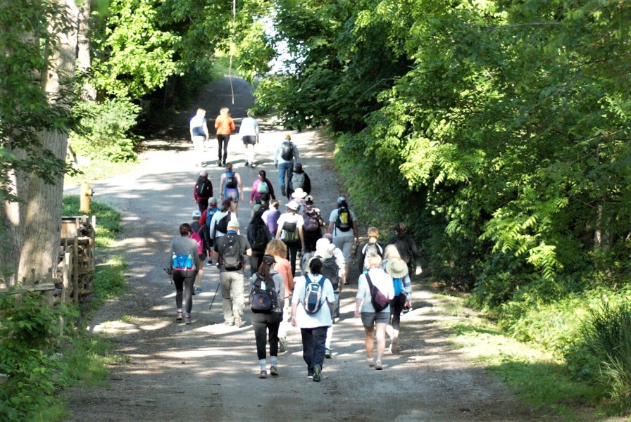 The group walks the first leg of the hike early on Saturday morning. (Brittany Carter/Niagara Now)