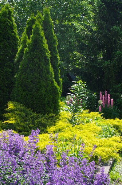 Award-winning garden on King Street (Supplied/Alex & Randie Topps)