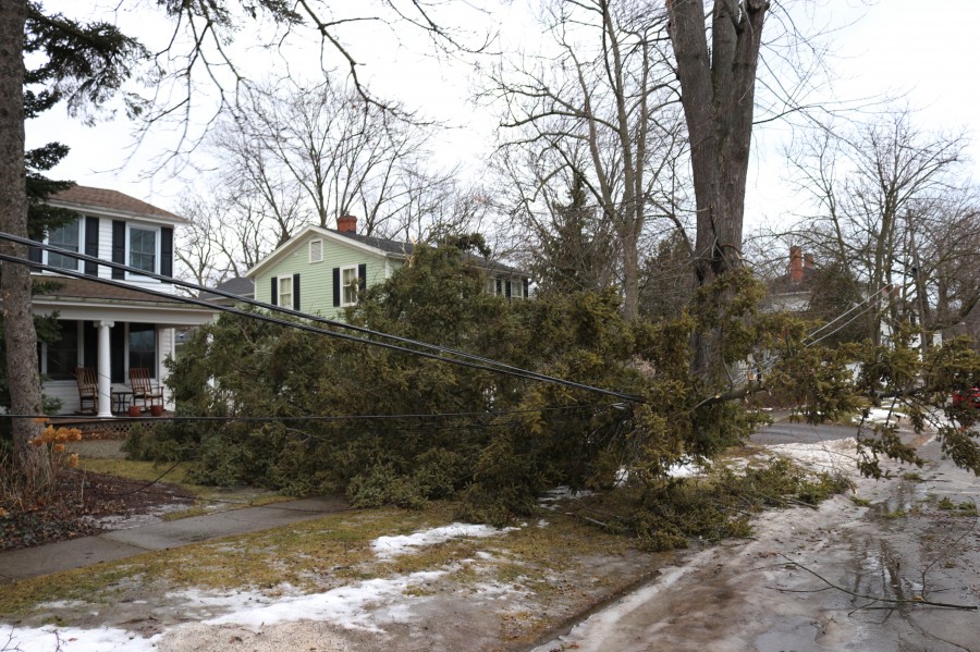 Powerful winds caused a tree and wires down on Johnson Street in NOTL Sunday afternoon. (Dariya Baiguzhiyeva/Niagara Now)