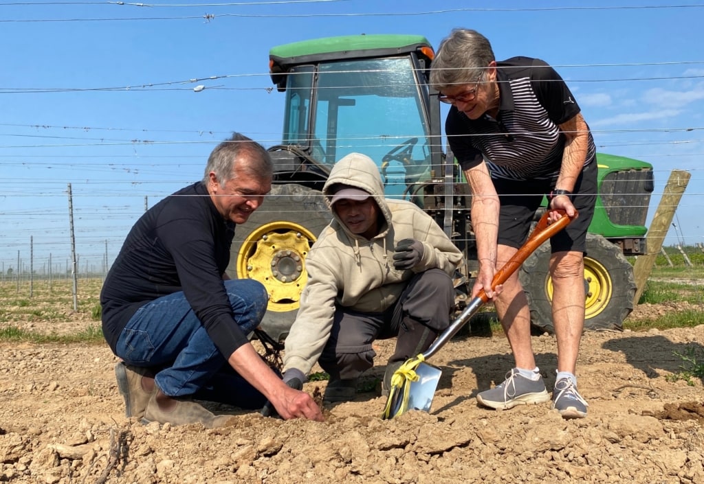 Wine industry pioneers plant first new vines at Lailey Vineyards