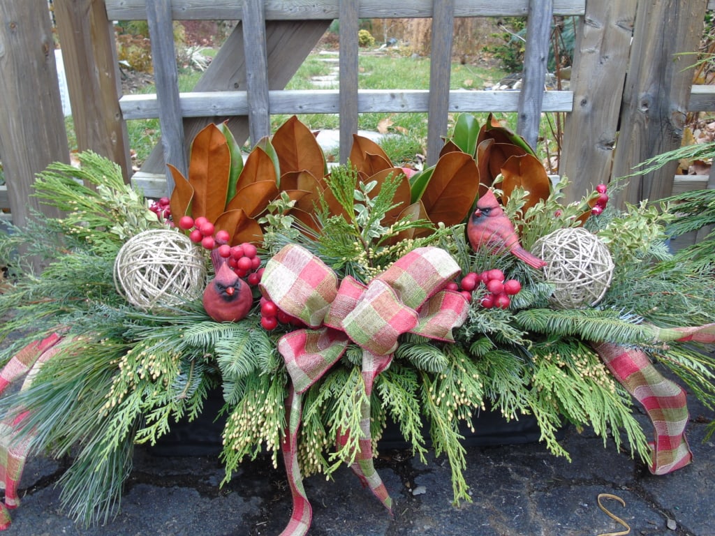 Fresh greens help spruce up your Christmas decor