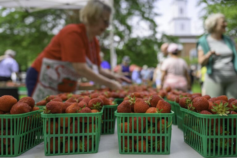 Volunteer berry bash sells out early and funds repairs for a 231-year-old landmark.