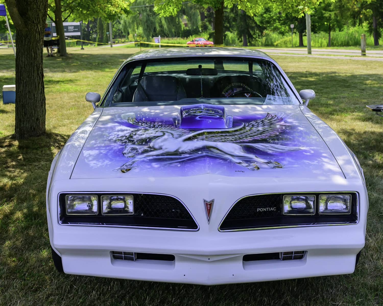 This 1978 Pontiac Trans Am embraces a little magic with its custom spray paint job.