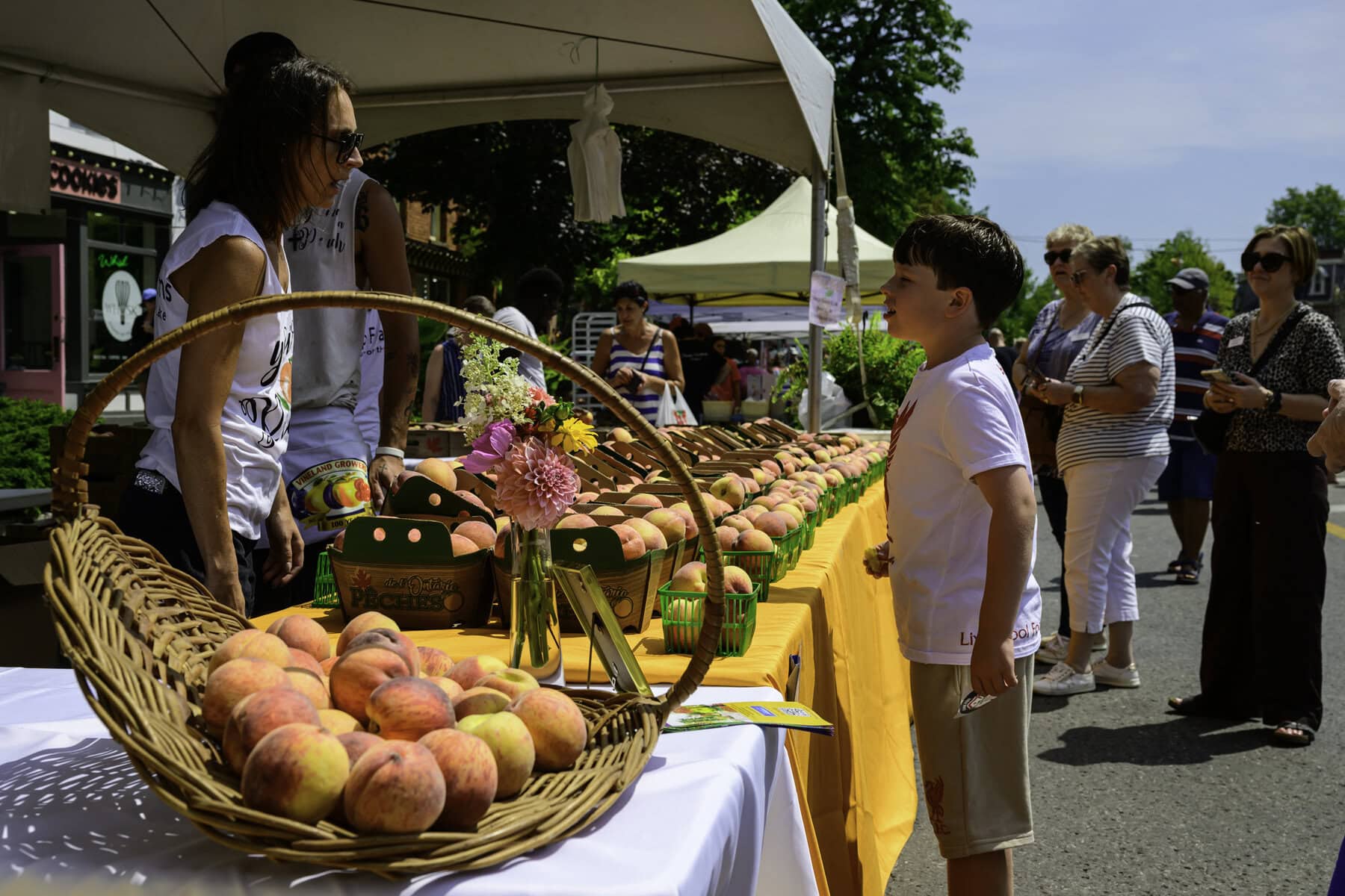 The bounty of August's summer harvest: rows of ripe peaches ready for sale.