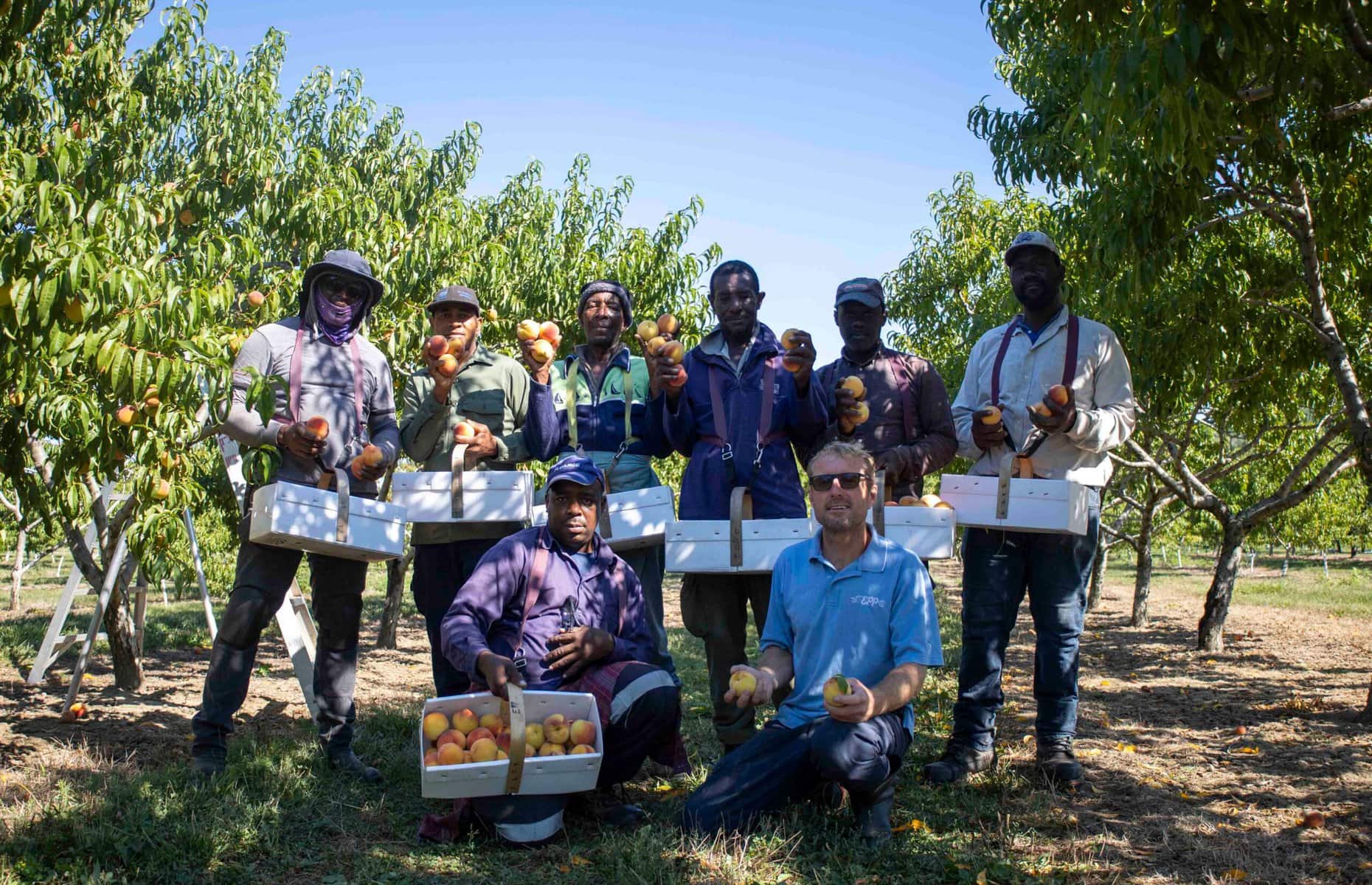 Scott Epp (front row, right) with his team during peach harvest at Epp Family Fruit Farms. With him are Keith Davis (front left) and, in the back row from left, Kenroy Martin, Gary Dell, Errol Wright, Leroy Douglas, Derrick Johnson and Gilmore Champanie.