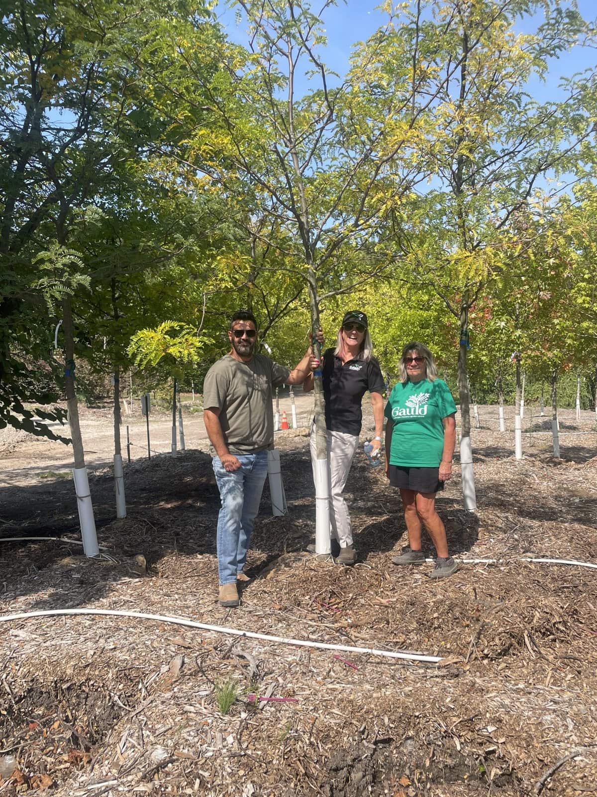 From left, Jeff Sykes, Pippa de Leonardis and Marla Rockwell stand with the Shademaster tree chosen to honour Joanne Young at Sykes Landscaping.