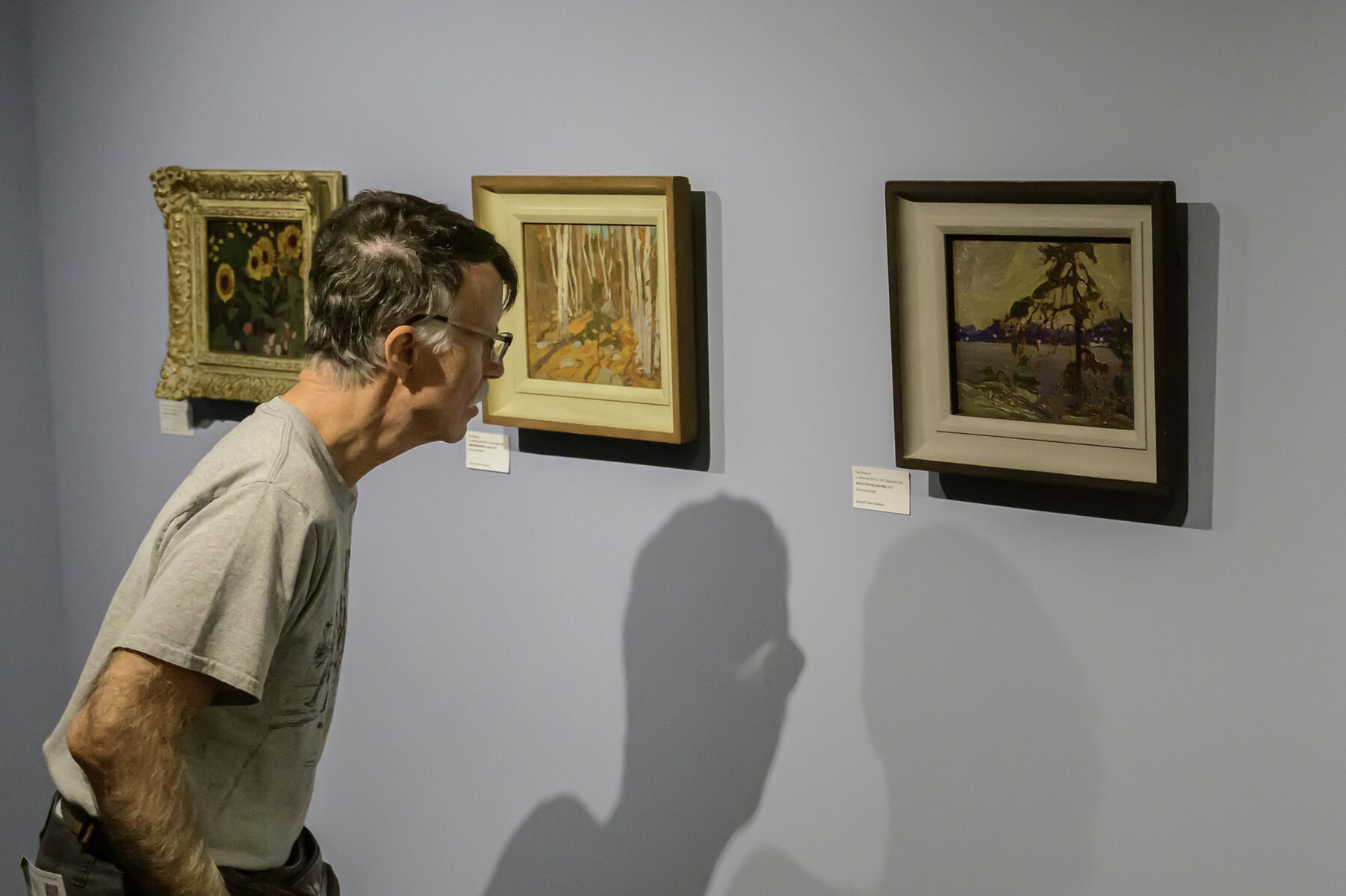 Dave Drennon of Whitby studies a painting by Tom Thomson at RiverBrink.