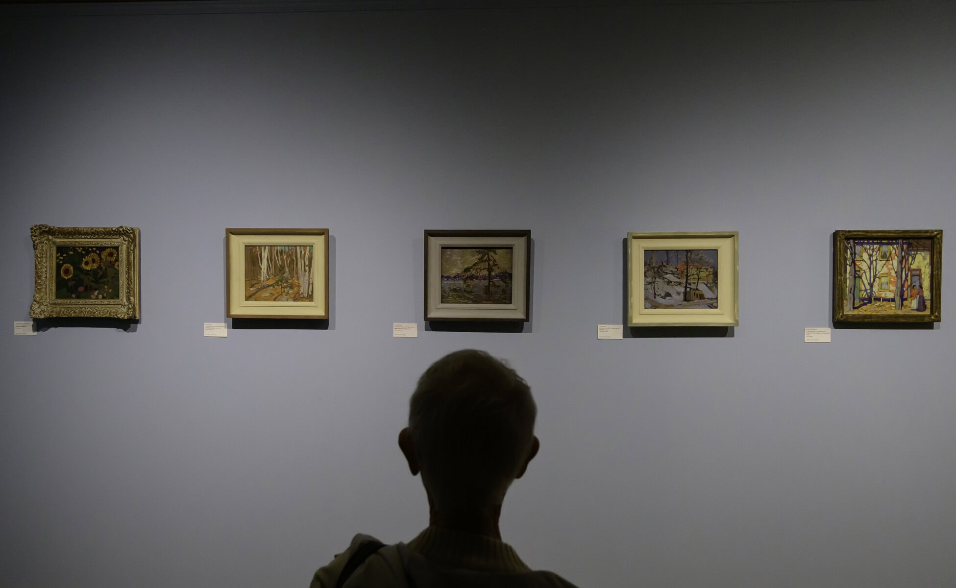 Louise Van Nest admires a collection of famous Canadian paintings at RiverBrink Art
Museum, reflecting the country’s rich artistic legacy and natural beauty.