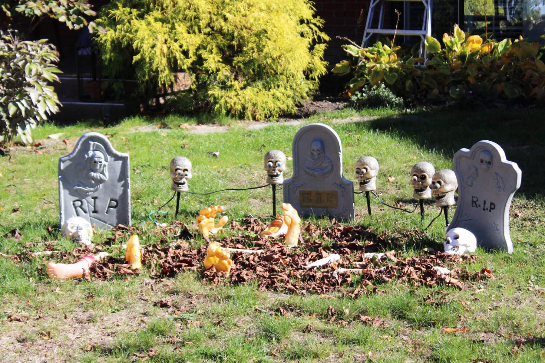 The people living at 610 Charlotte St. house seem to have
some living dead rising up out of their yard. That’s gotta
be against some sort of town bylaw, right?