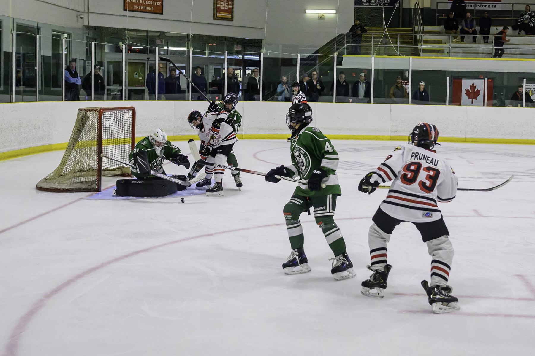 Photo (c) 2025 Dave Van de Laar
www.Davehvandelaar.com