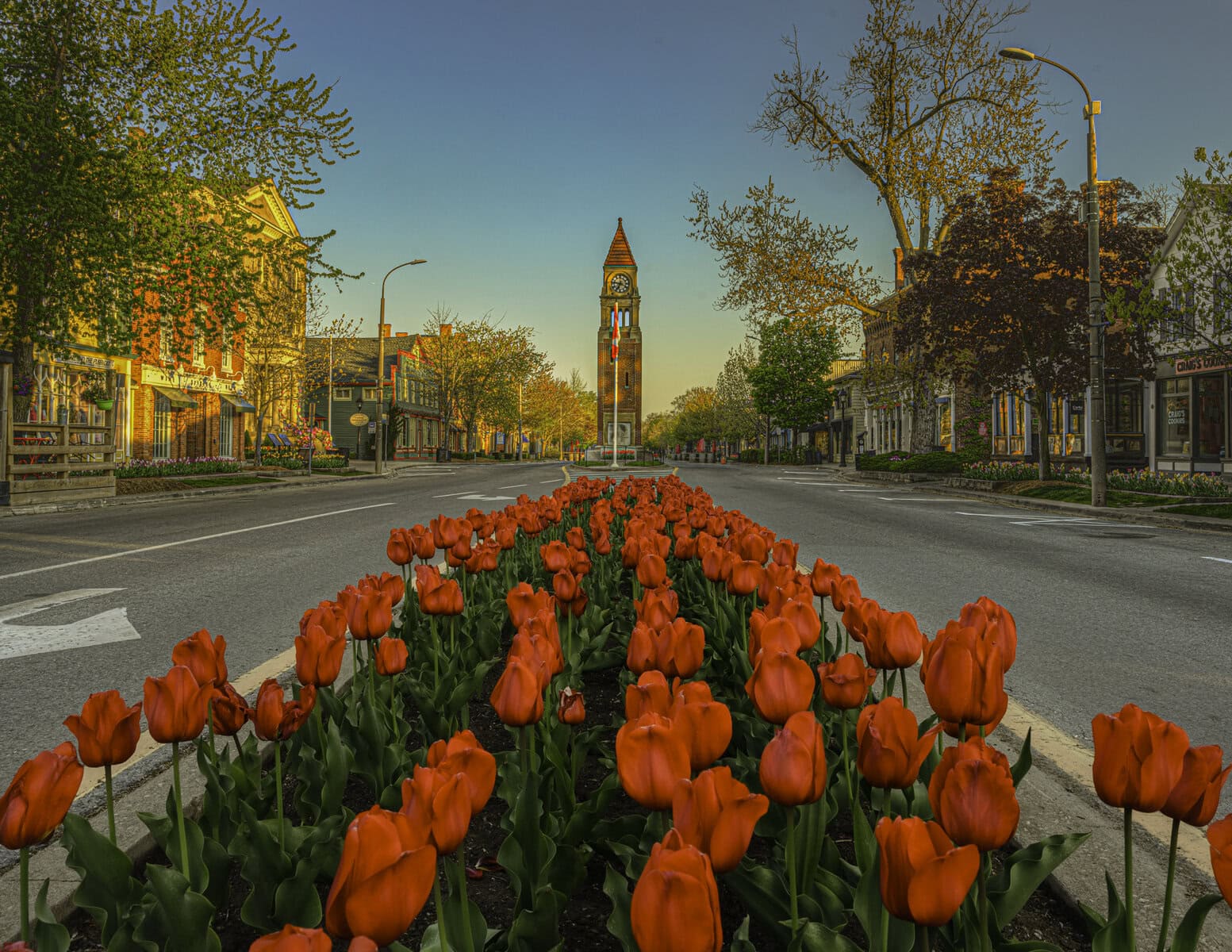 The front cover of Dave van de Laar's 2026 calendar features the familiar sight of Queen Street's cenotaph clock tower with bright, blooming red tulips in the foreground.