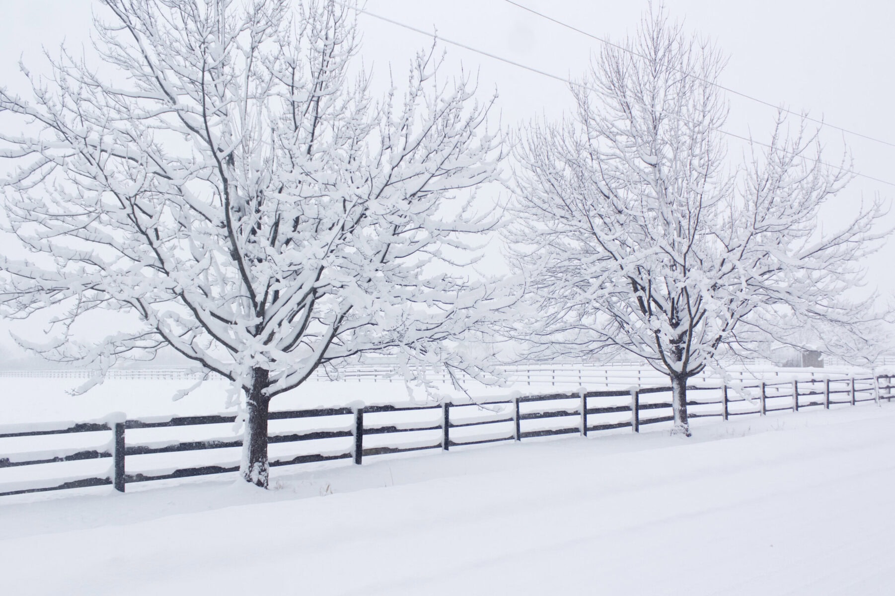 15 to 25 centimetres of snow was dropped on NOTL on Thursday, making roads slick, shutting down schools and town buildings, but also creating beautiful sights.