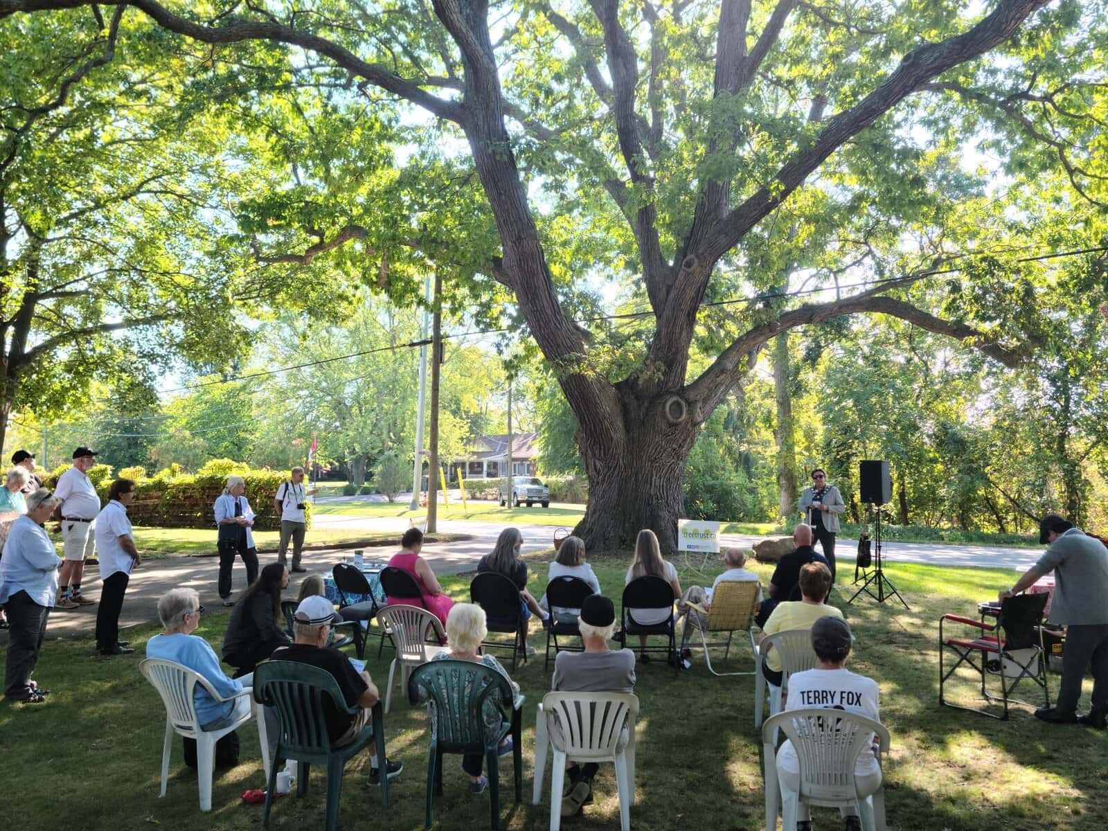 Four hundred years ago, a towering oak tree began life near what is now Lakeshore Road. The mammoth tree, on the Epp family farm, has earned provincial award recognizing its age and historical importance.