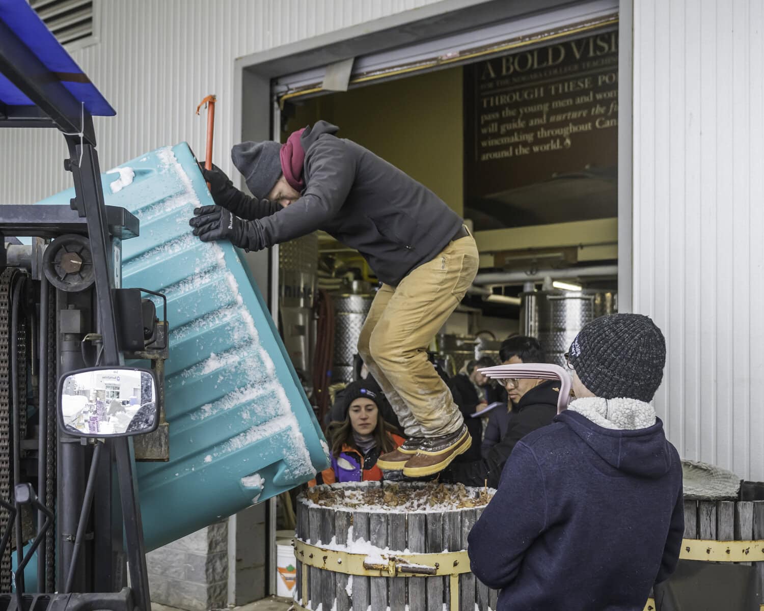 Professor Gavin Robertson gives the frozen grapes the extra stomp they need to be compacted into the barrel to be pressed by jumping on them.
