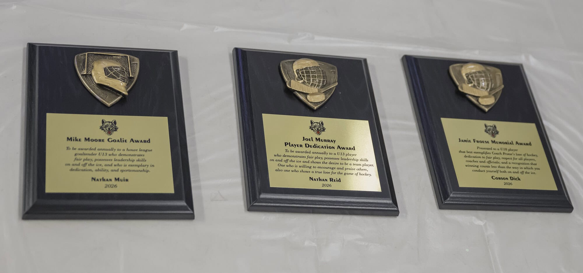 Keepsake plaques that were given out during last Wednesday's awards ceremony.