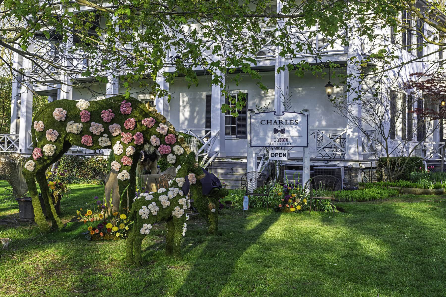 "Sophisticated Safari," by Mint & Magnolia, sees two giraffes adorned with bright and pale pink carnations grazing the front lawn of the Charles Hotel and Hob Nob Restaurant.