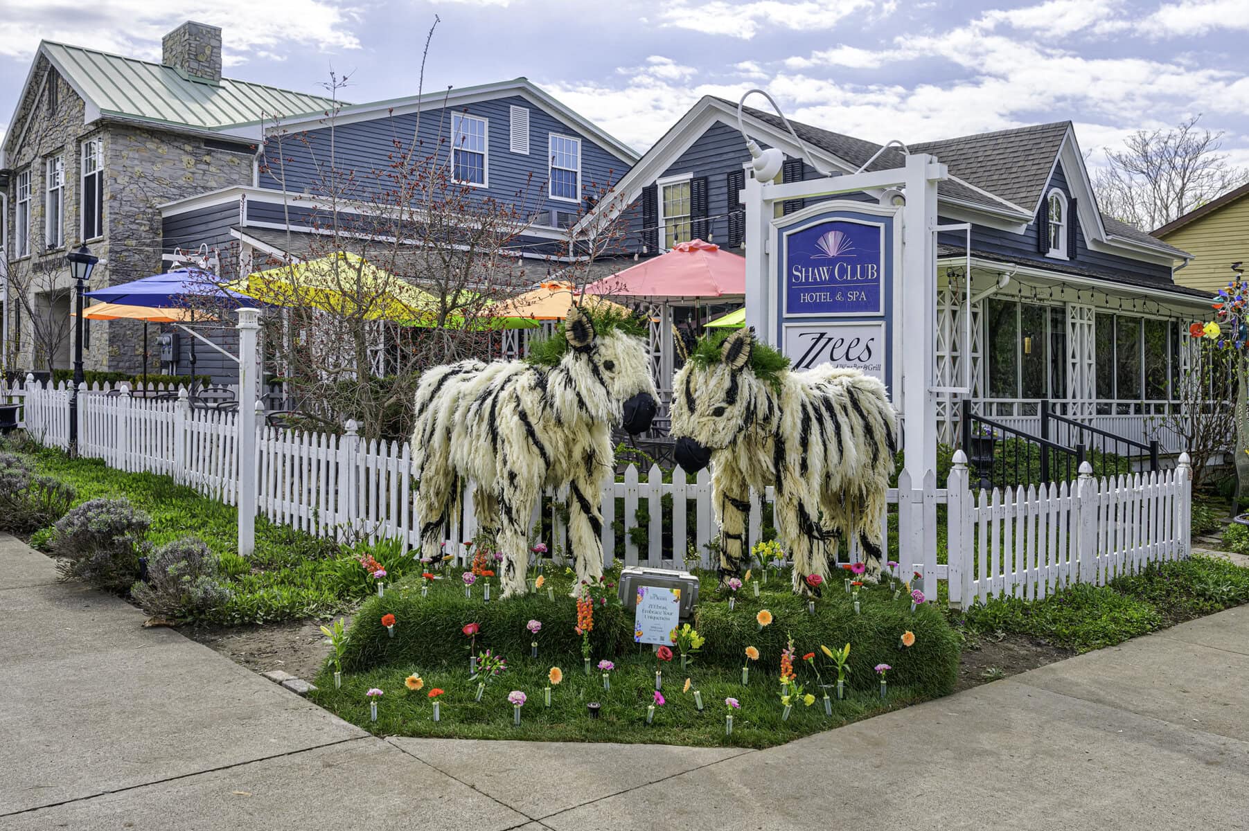 This pair of zebras have found their new home for the weekend outside Zee's Wine Bar & Grill on Picton Street. This display was created by BBBLooms Floral Studio.