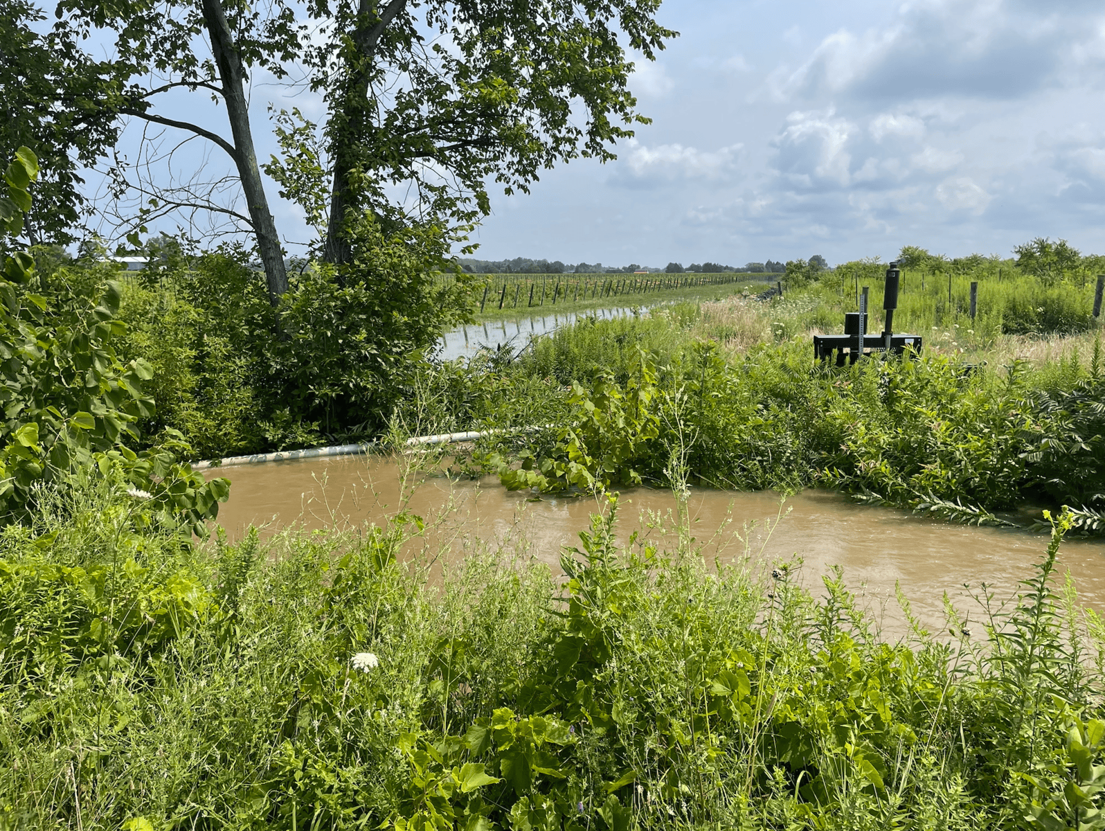 A pump stands amid rising water in the Harrison Drainage System near Brent Asselin’s Line 4 property.