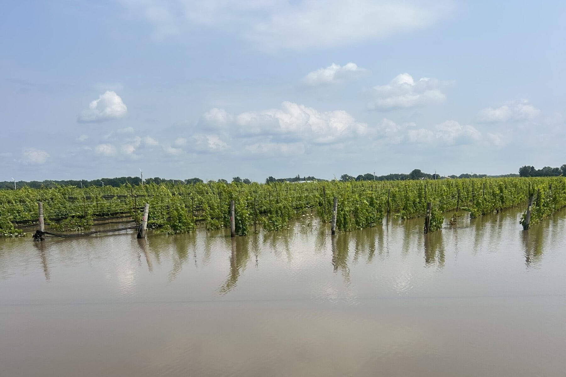 Over in the farmlands, heavy flooding of Stratus Vineyards on Niagara Stone Road.