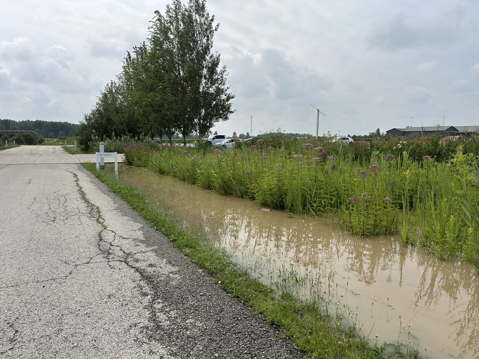 Southbrook’s bioswales brim with muddy runoff after the winery recorded 137 mm of rain in about two hours.