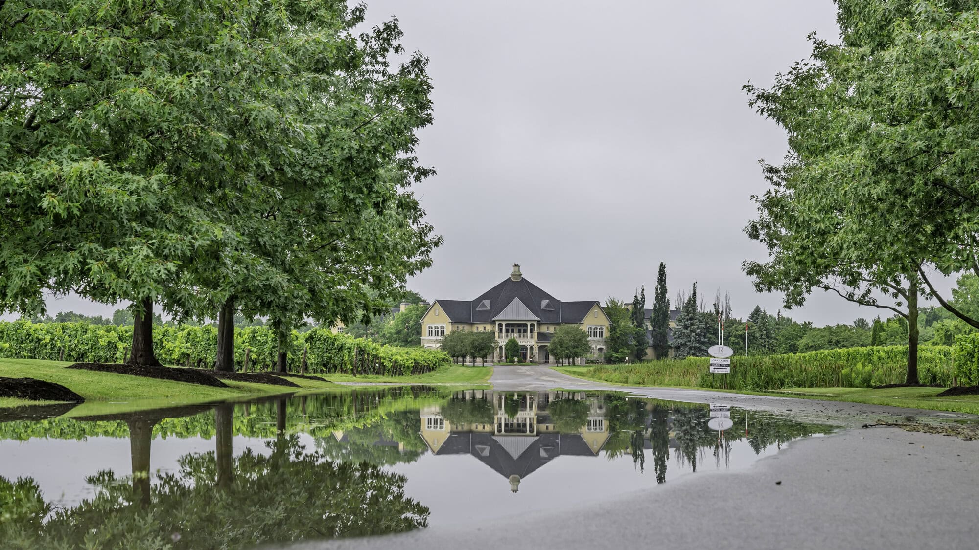 The road leading up to Peller Estates Winery with some flooding.