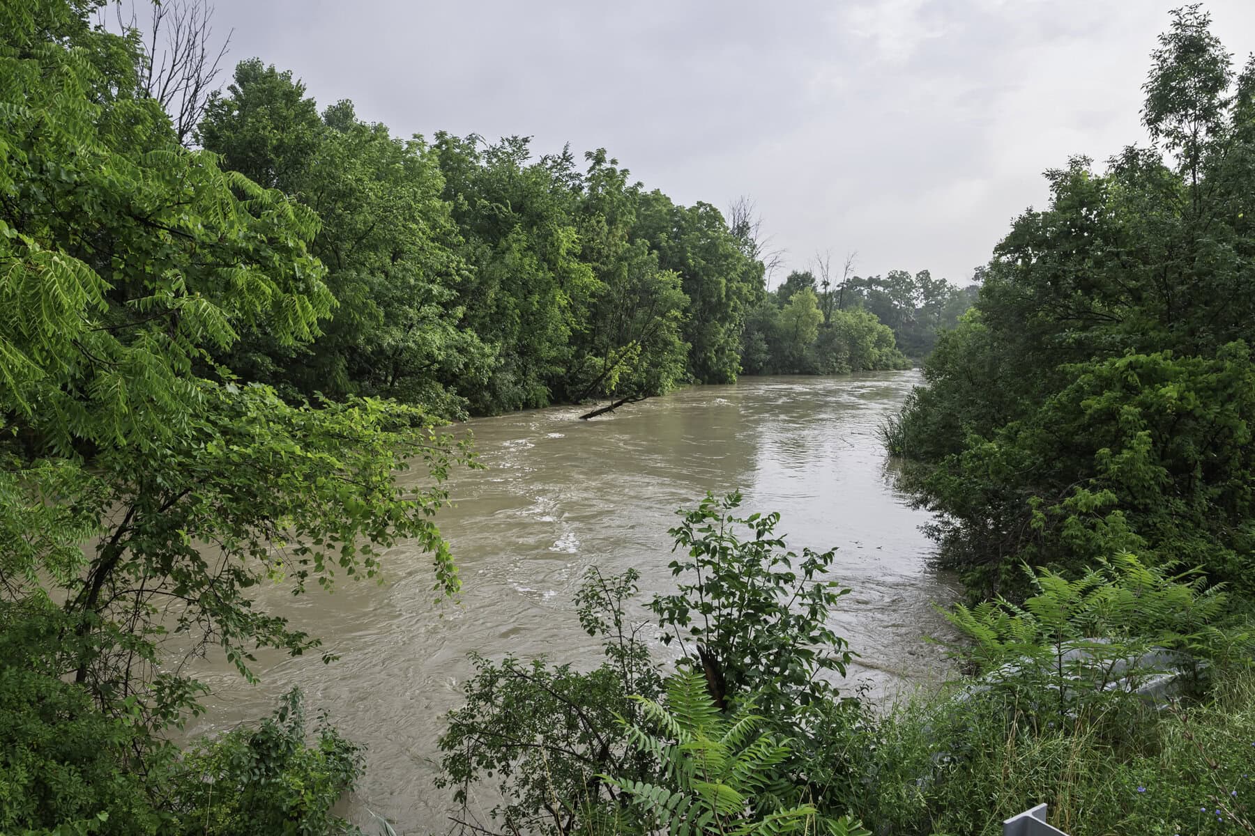 Rainwater from last night's storm runs through the Upper Virgil Reservoir.