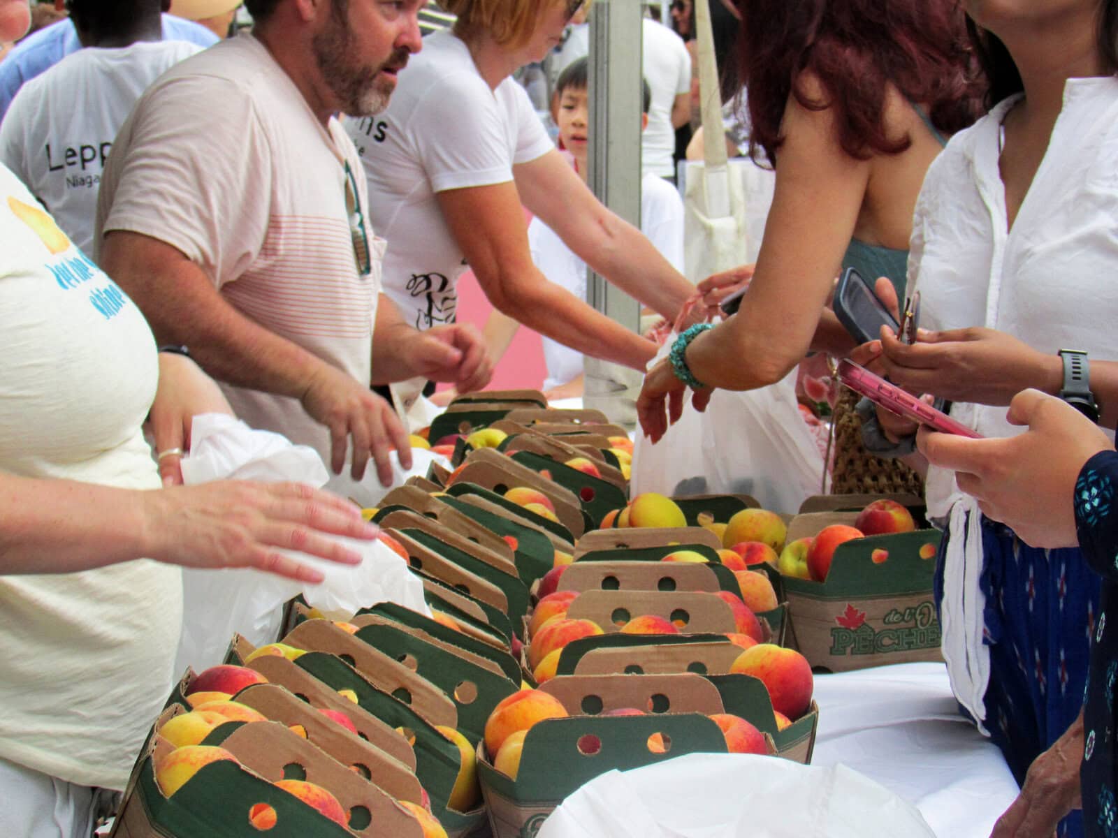 Dozens of boxes of fresh peaches for sale, sold by Niagara-based peach farmers. While this summer's floods made things difficult for farmers in the area and caused concerns for the fruit supply, the festival managed to have four farmers at the event to sell peaches.