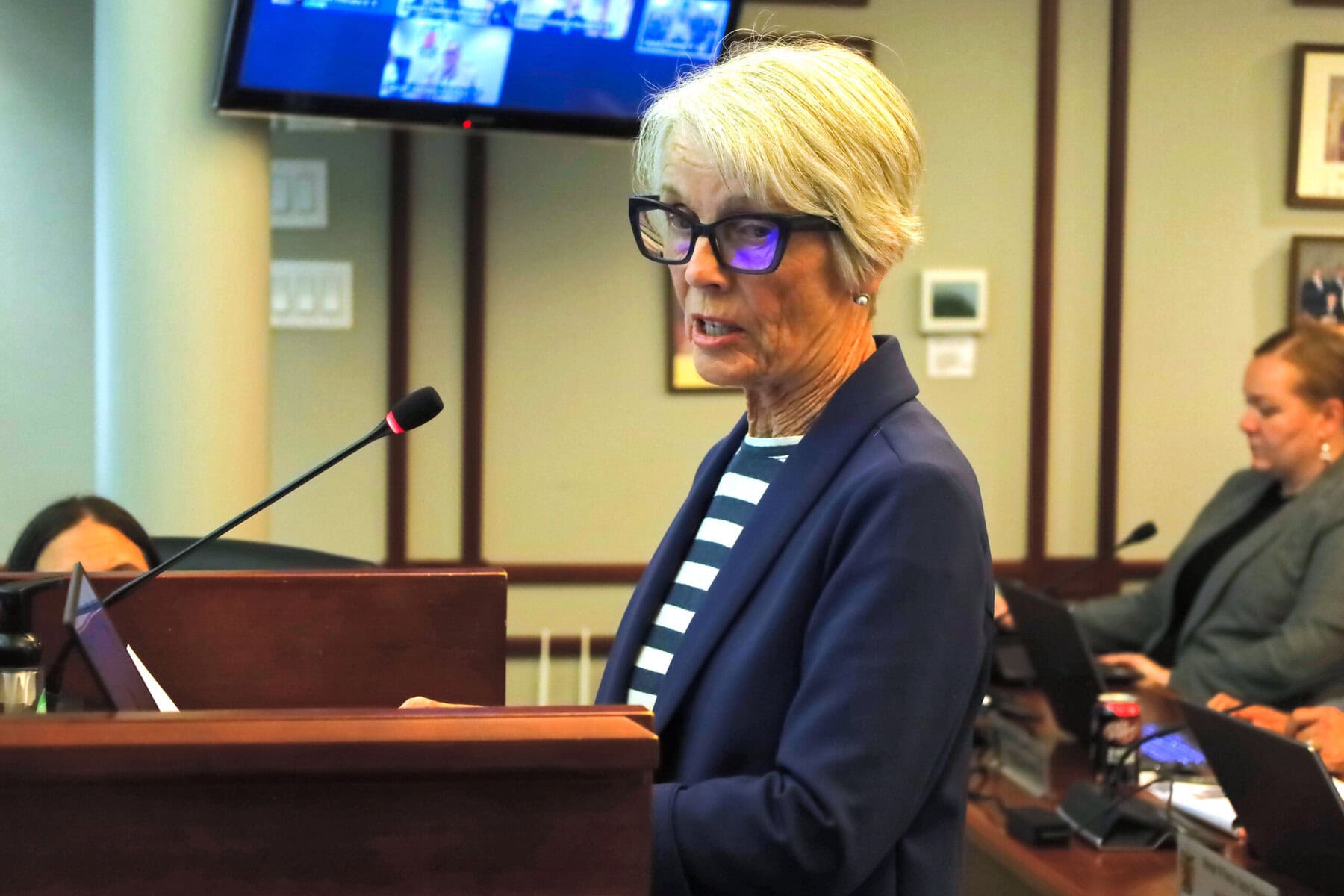 Old Town resident Sue Sherk tells councillors her block is already “very wet” as she raises concerns about groundwater, drainage and the changing character of the neighbourhood.