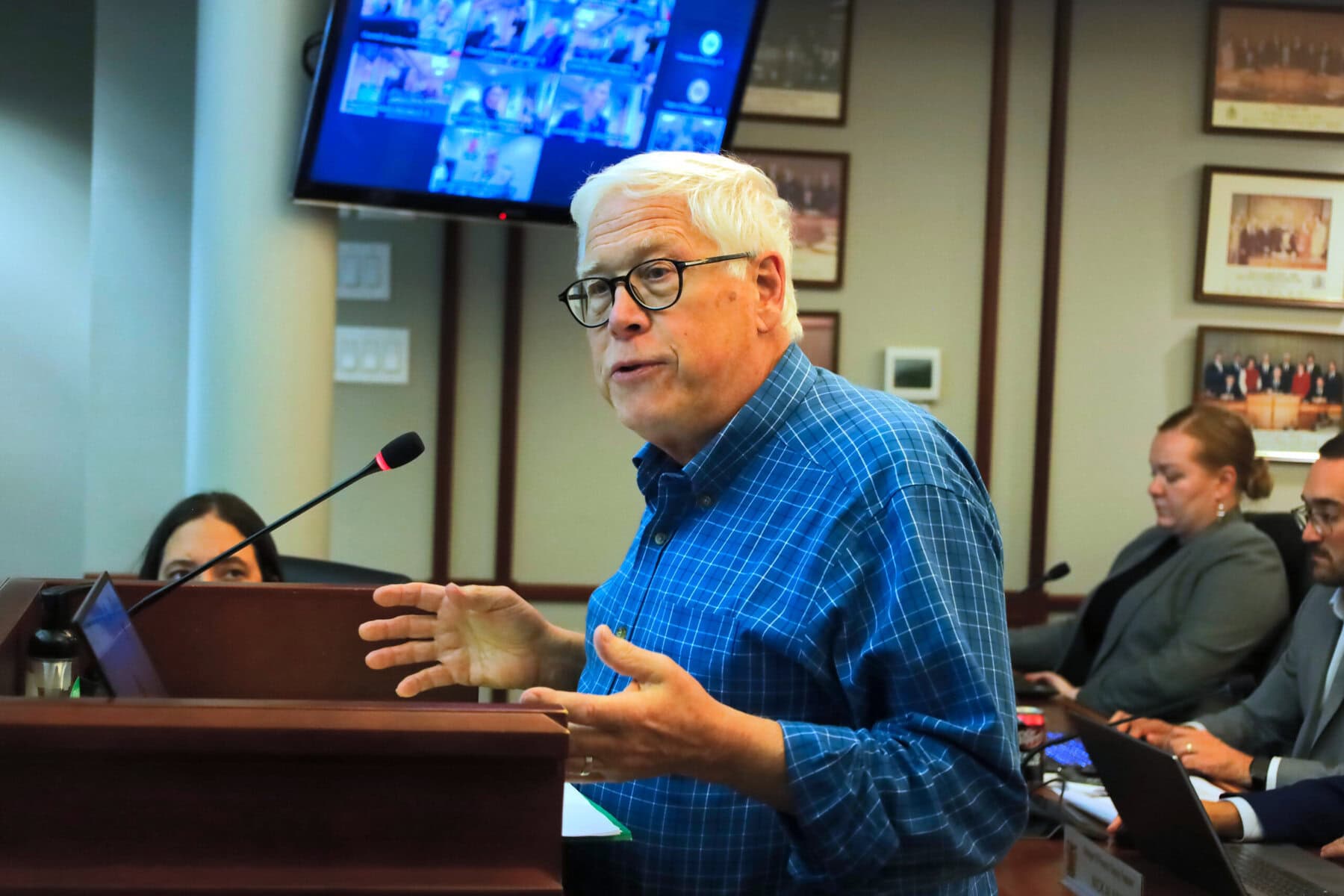 Friends of One Mile Creek chair Michael Fox questions why the town should allow 45 per cent lot coverage at 189 William St., warning that more hard surfaces mean more rainwater has to go somewhere.