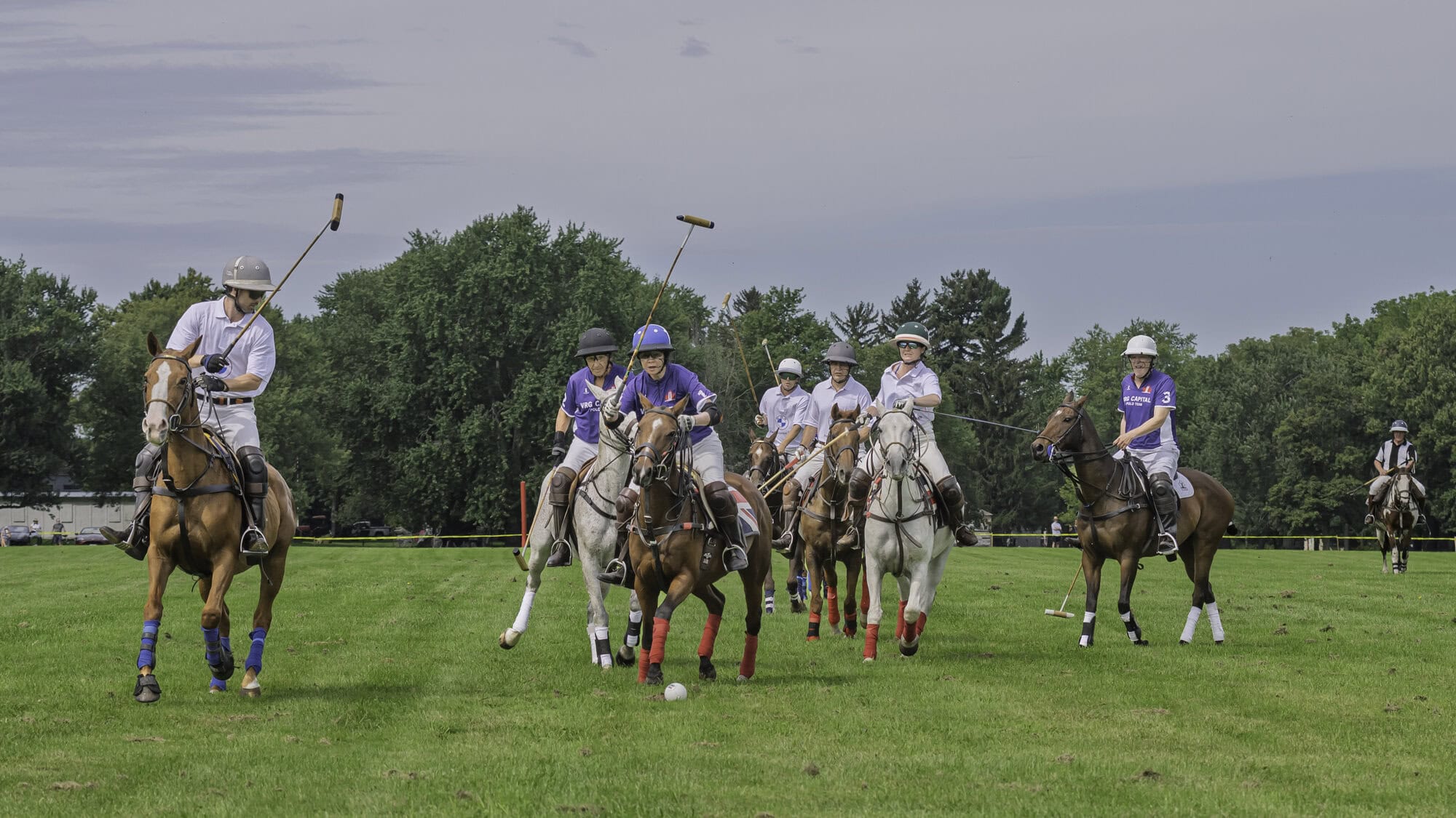 The game of polo is a test of a player's co-ordination, precision and equestrian skills.