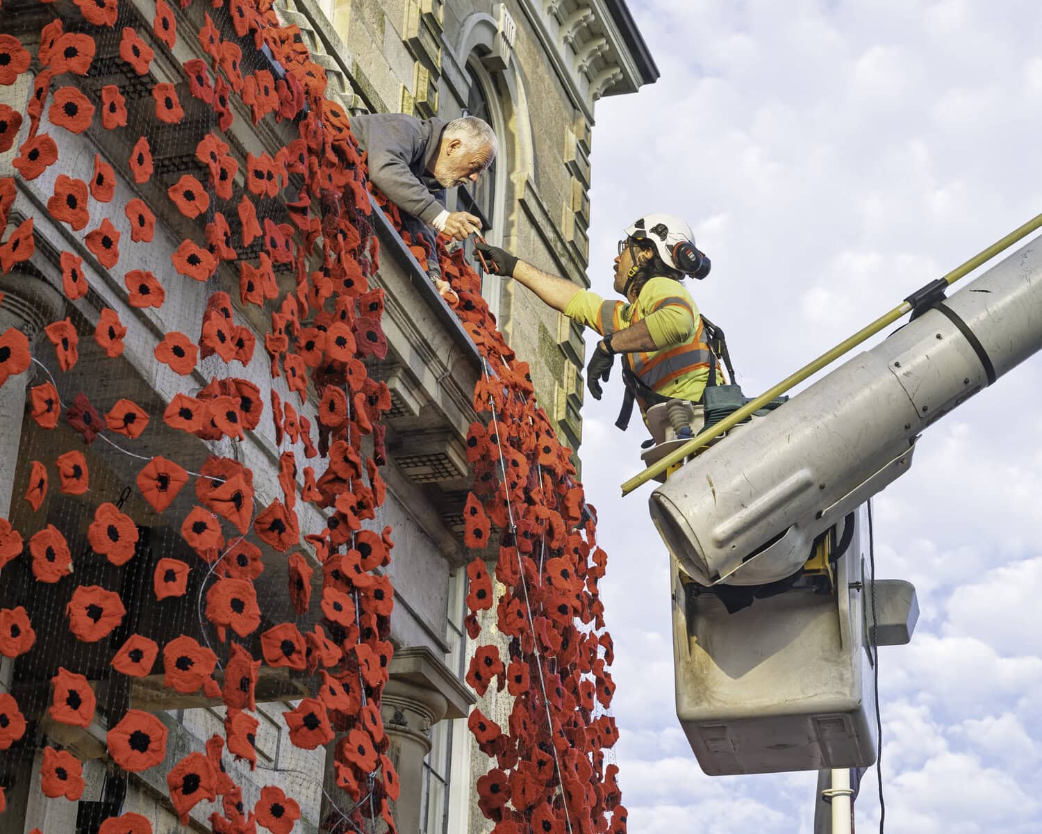 Workers provide a helping hand to get the poppies up at the Old Court House.