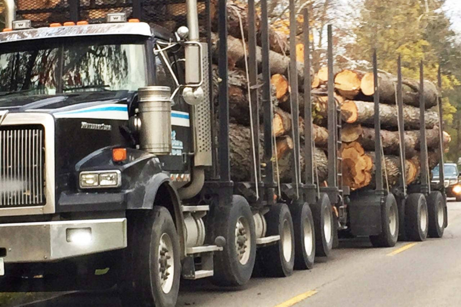 A truck hauls off logs from the Rand Estate in November 2018 the cutting of dozens of trees.