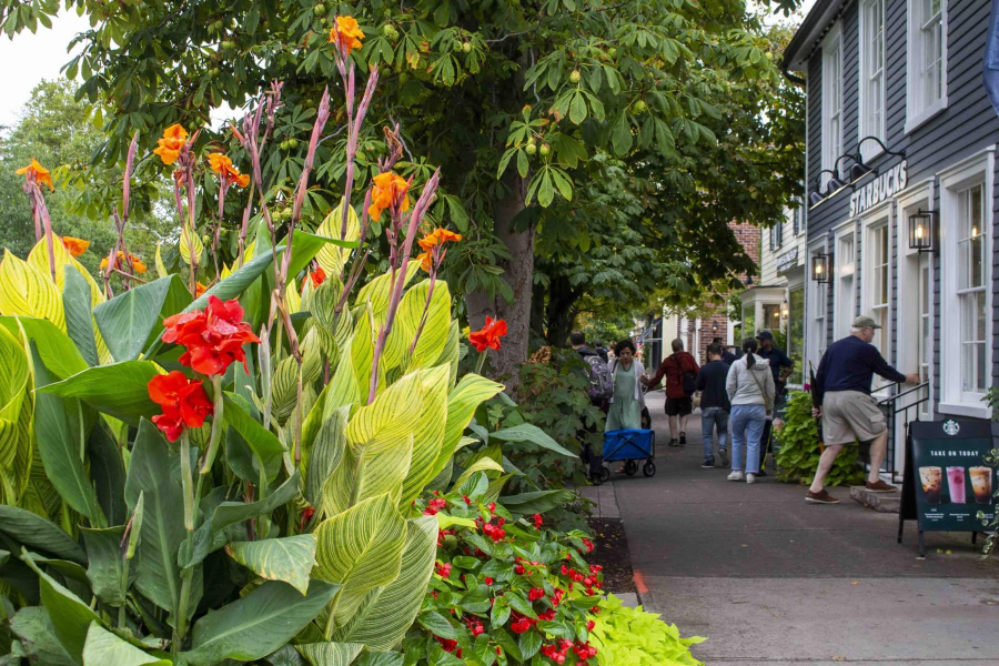 Flowers along the Queen Street boulevard might soon expand out onto the side streets of Old Town's heritage district.