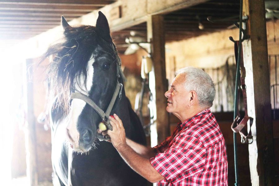 Fred_Sentineal_pets_Tom_the_horse_at_his_farm_on_Line_1_Road._Dariya_Baiguzhiyeva