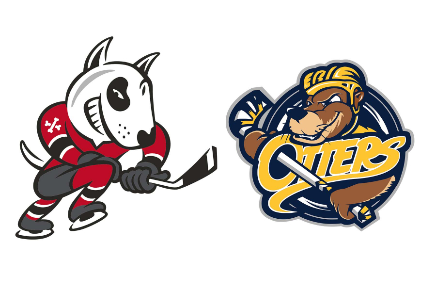 The Niagara IceDogs play the Erie Otters in Virgil on Friday.