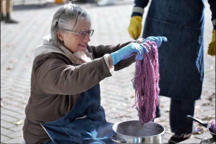 Janice_Ludberg_dyes_the_wool_with_cochineal_during_Dye_Days_at_Laura_Secord_Homestead.Brittany_Carter