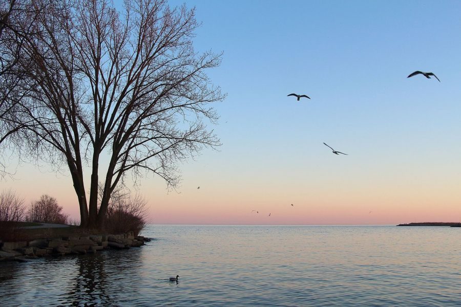 Lake_Ontario_Dusk