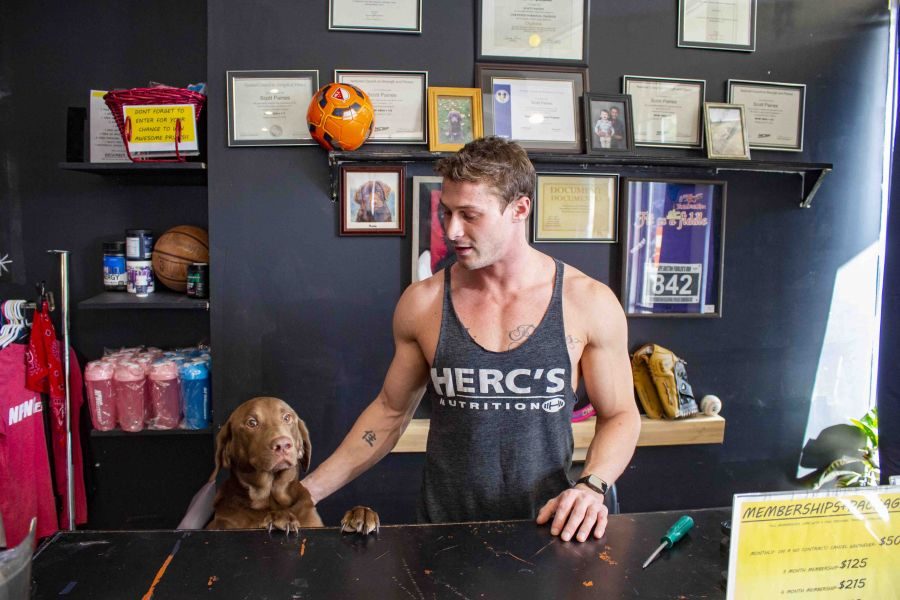 Mocha_the_labrador_retriever_and_Scott_Paines_man_the_front_desk_at_NPNG_Fitness_in_Virgil._Evan_Saunders