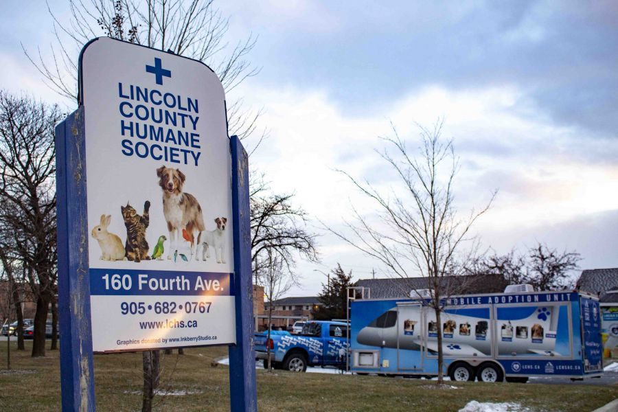 The_Lincoln_County_Humane_Society_on_Fourth_Avenue_in_St._Catharines._Evan_Saunders_1