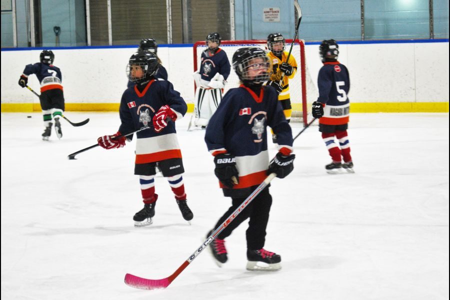 The_Novice_Local_League_NOTL_Wolves_take_on_the_Welland_Tigers_on_Saturday_afternoon