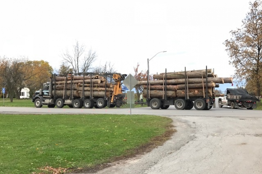 Trucks haul away trees that were cut down on the Rand Estate in November 2018.