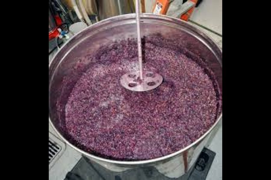 Wine_fermentation
